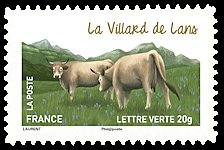 Les vaches de nos régions, races bovines rares 