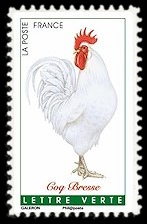  Coqs de France ( coq de Bresse ) 