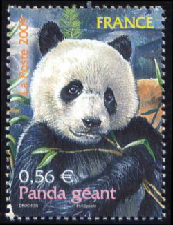  Animaux disparus ou menacés (le panda géant) 
