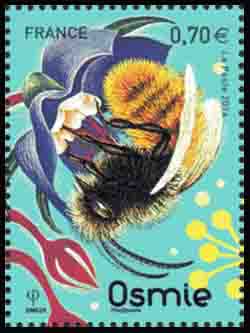  Les abeilles solitaires (Osmie) 