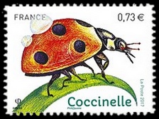  Les insectes - La Coccinelle 