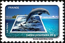 Fête