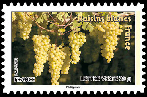  Des fruits pour une lettre verte - Raisins 