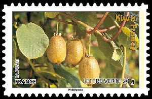  Des fruits pour une lettre verte - Kiwis 