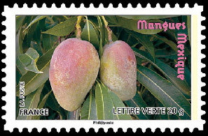  Des fruits pour une lettre verte - Mangues 