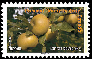  Des fruits pour une lettre verte - Pommes Reinette 