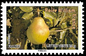  Des fruits pour une lettre verte - Poire William 