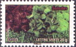  Des légumes pour une lettre verte, Salades 