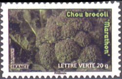  Des légumes pour une lettre verte, Chou brocoli 