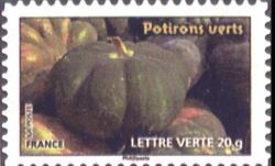  Des légumes pour une lettre verte, Potirons verts 