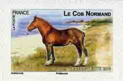  Chevaux de trait 