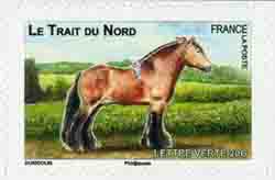  Chevaux de trait 