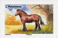  Chevaux de trait 