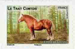  Chevaux de trait 