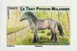  Chevaux de trait 