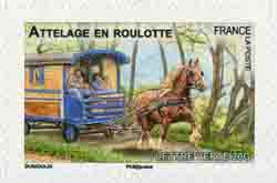  Chevaux de trait 