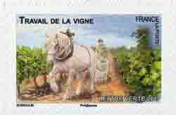  Chevaux de trait 