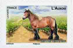  Chevaux de trait 