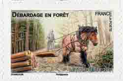  Chevaux de trait 