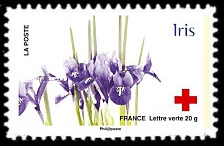 150ème