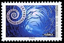  Carnet « Dynamiques Mouvement de spirale » 