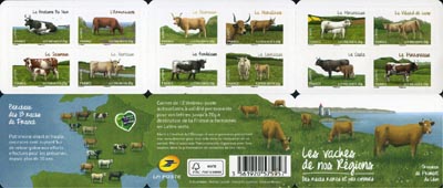 Les vaches de nos régions, races bovines rares