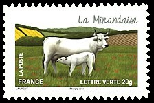  Les vaches de nos régions, races bovines rares 