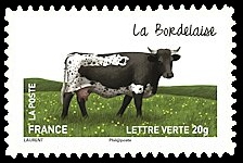 Les vaches de nos régions, races bovines rares