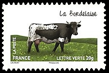  Les vaches de nos régions, races bovines rares 