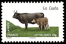  Les vaches de nos régions, races bovines rares 