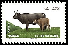 Les vaches de nos régions, races bovines rares