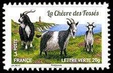  Plus d'un million de chèvres et parmi elles, La chèvre des fossés 