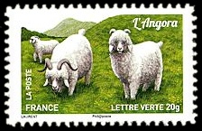  Plus d'un million de chèvres et parmi elles, L'angora 