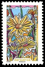  Fleurs à foison ( Marguerite ) 