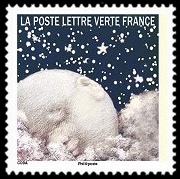  Correspondance planétaire, des étoiles plein les yeux 