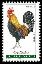  Coqs de France ( coq Gaulois ) 