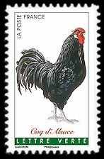  Coqs de France ( coq d'Alsace ) 