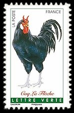  Coqs de France ( coq La Flèche ) 