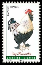  Coqs de France ( coq Faverolles ) 