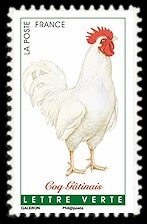  Coqs de France ( coq Gatinais ) 