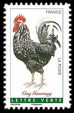  Coqs de France ( coq Gournay ) 