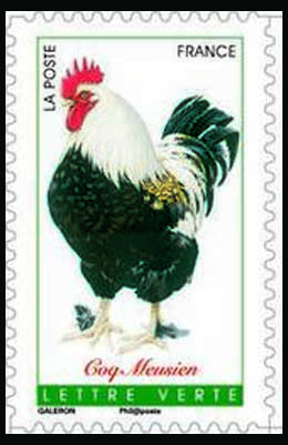  Coqs de France ( coq Meusien ) 