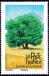  Les arbres 