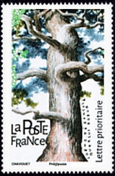  Les arbres 