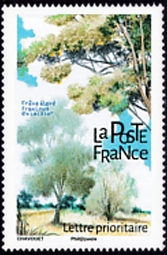  Les arbres 