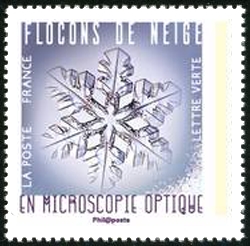  Flocons de neige en microscopie optique 