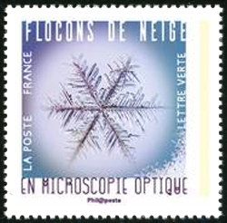  Flocons de neige en microscopie optique 