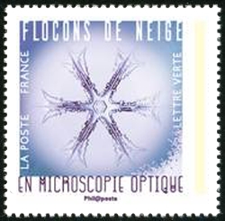  Flocons de neige en microscopie optique 