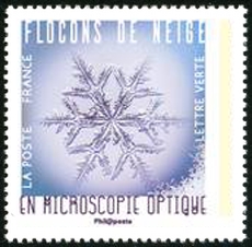  Flocons de neige en microscopie optique 