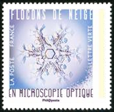  Flocons de neige en microscopie optique 